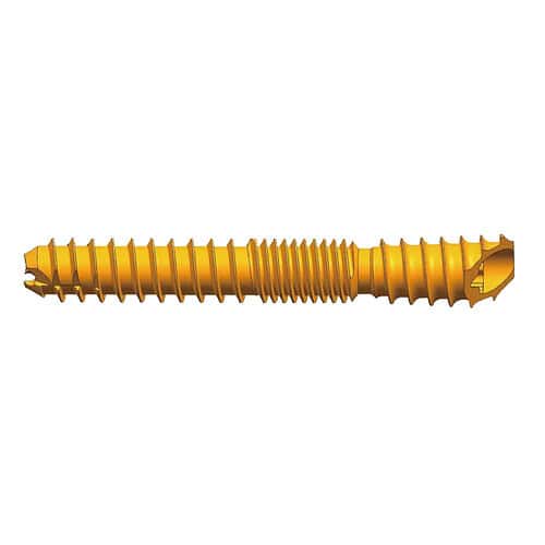 BHC Beveled Head Cannulated Support Screw