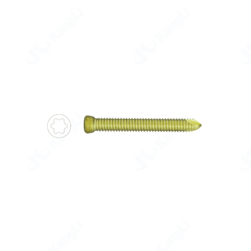 3.5 Torx Locking Screw (Anodized)